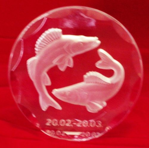 Sternzeichen Fische